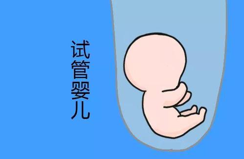 嘉会医疗